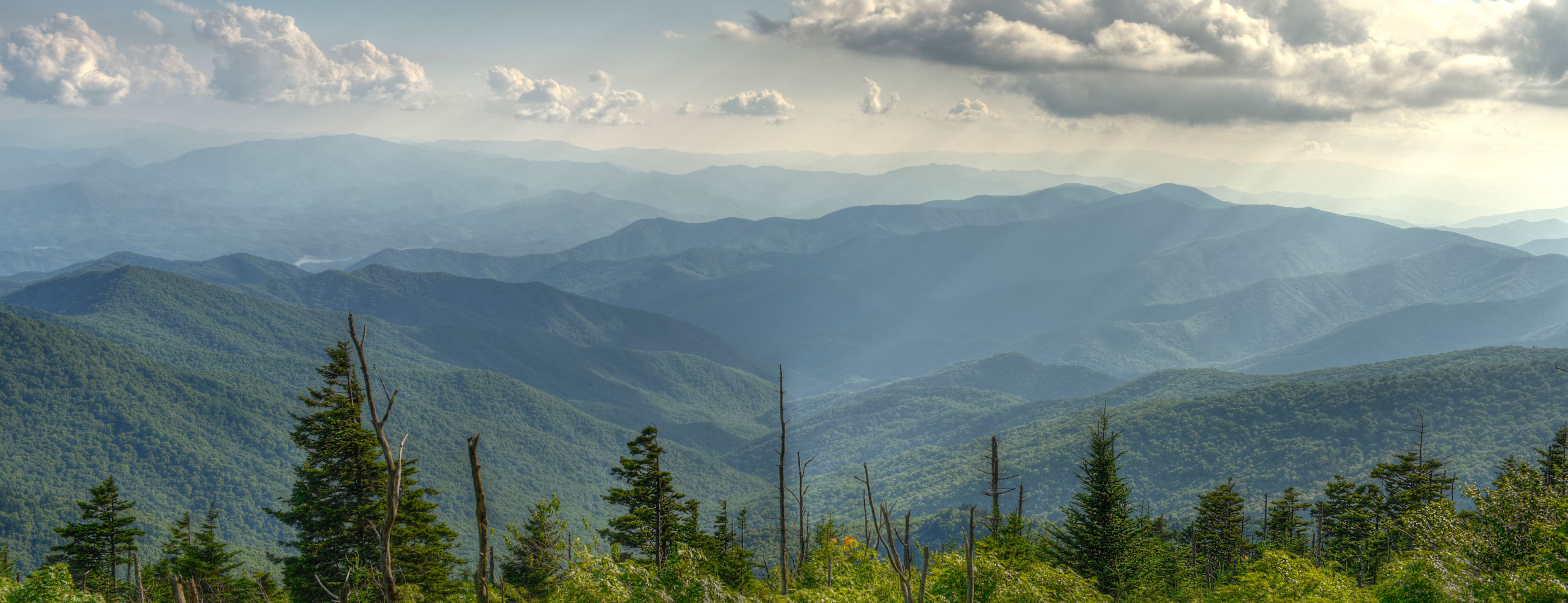 DINDAYAL AYURVED BHAWAN DINDAYAL AYURVED BHAWAN