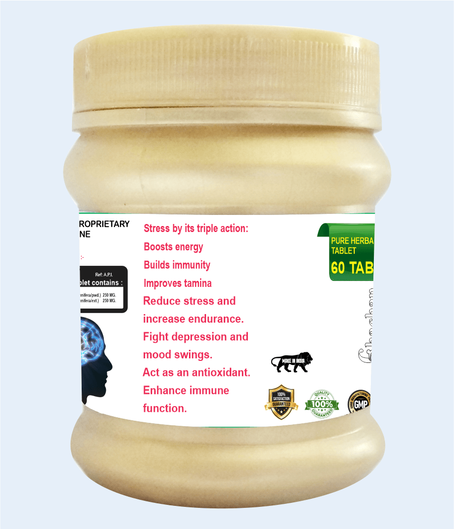 ASHAVGANDHA TABLET 60 TAB - Image 3