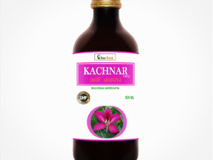 CHACHAN ARQ KANCHNAR